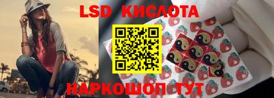 шишки Свободный